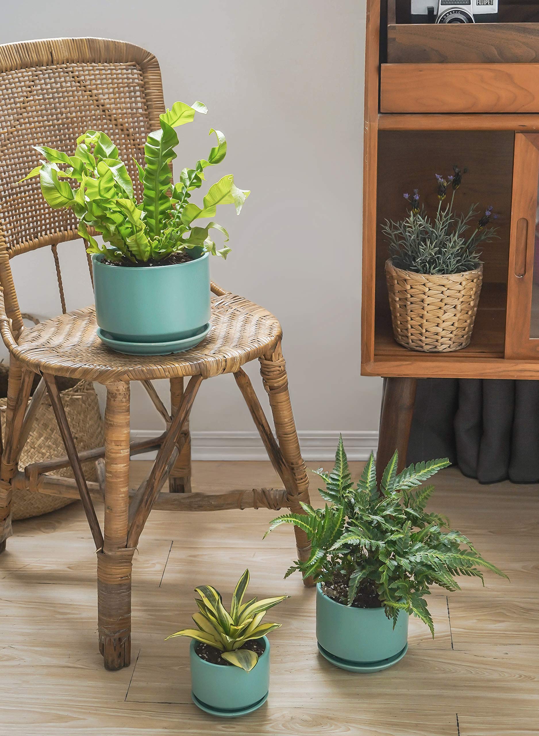 LE TAUCI pots on windowsill with plants, brightens home décor