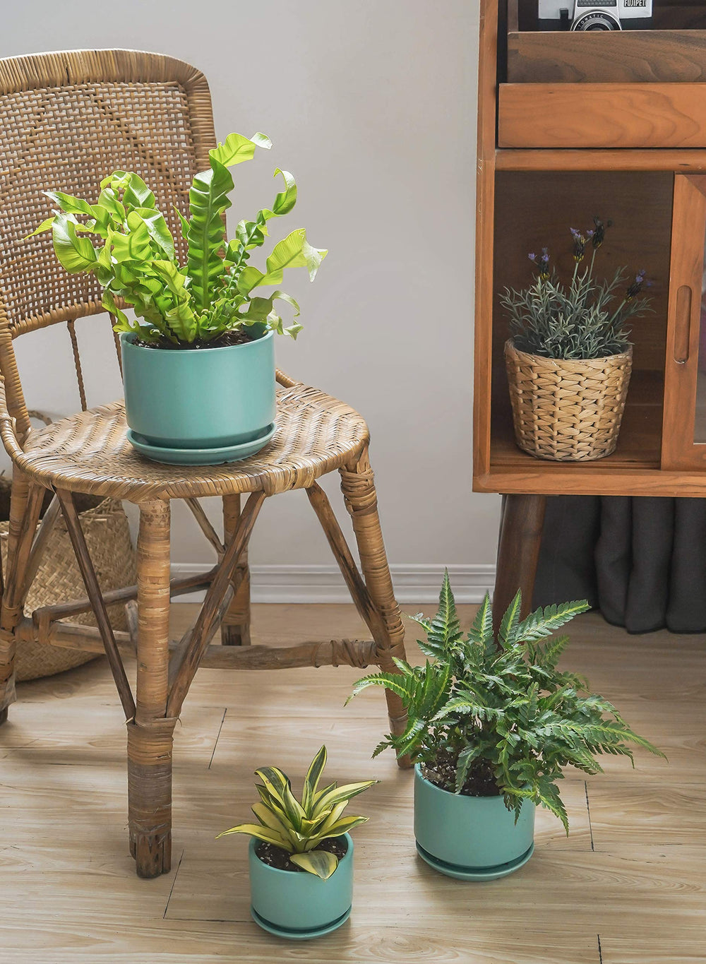 LE TAUCI pots on windowsill with plants, brightens home décor
