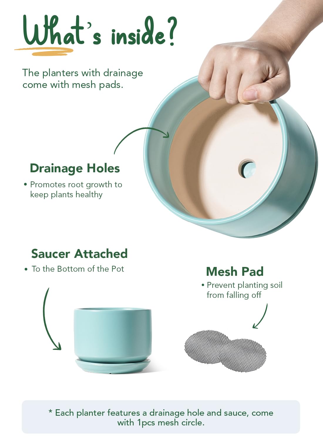 LE TAUCI small aqua pot with succulent, perfect for desks