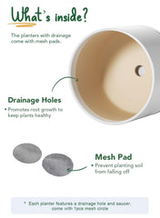 LE TAUCI close-up of matte glaze texture highlighting durable finish and scratch resistance