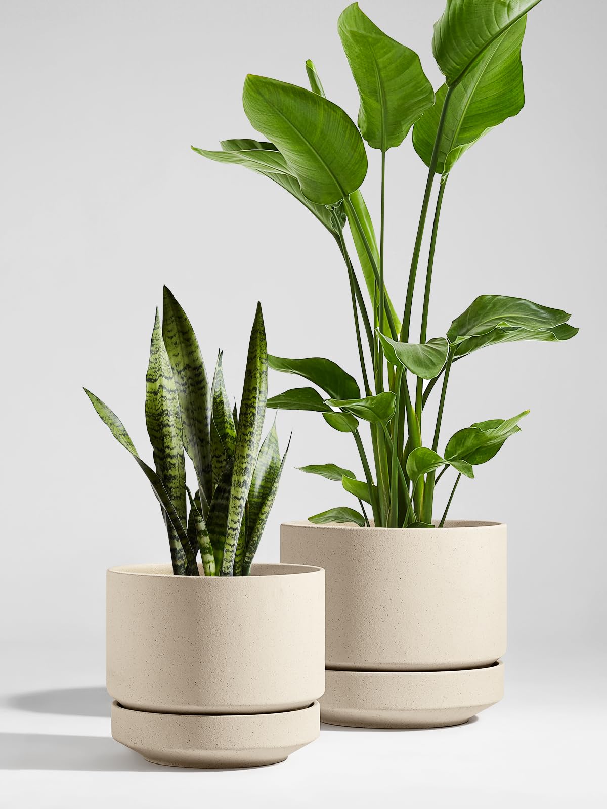 LE TAUCI close-up of unglazed porous ceramic texture highlighting breathability benefit
