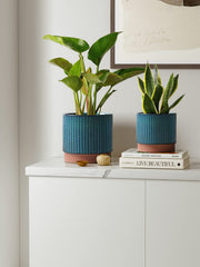 LE TAUCI close-up of green reactive glaze stripe highlighting premium finish benefit