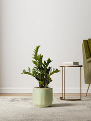 LE TAUCI three pots staged to show size differences and layered styling benefit