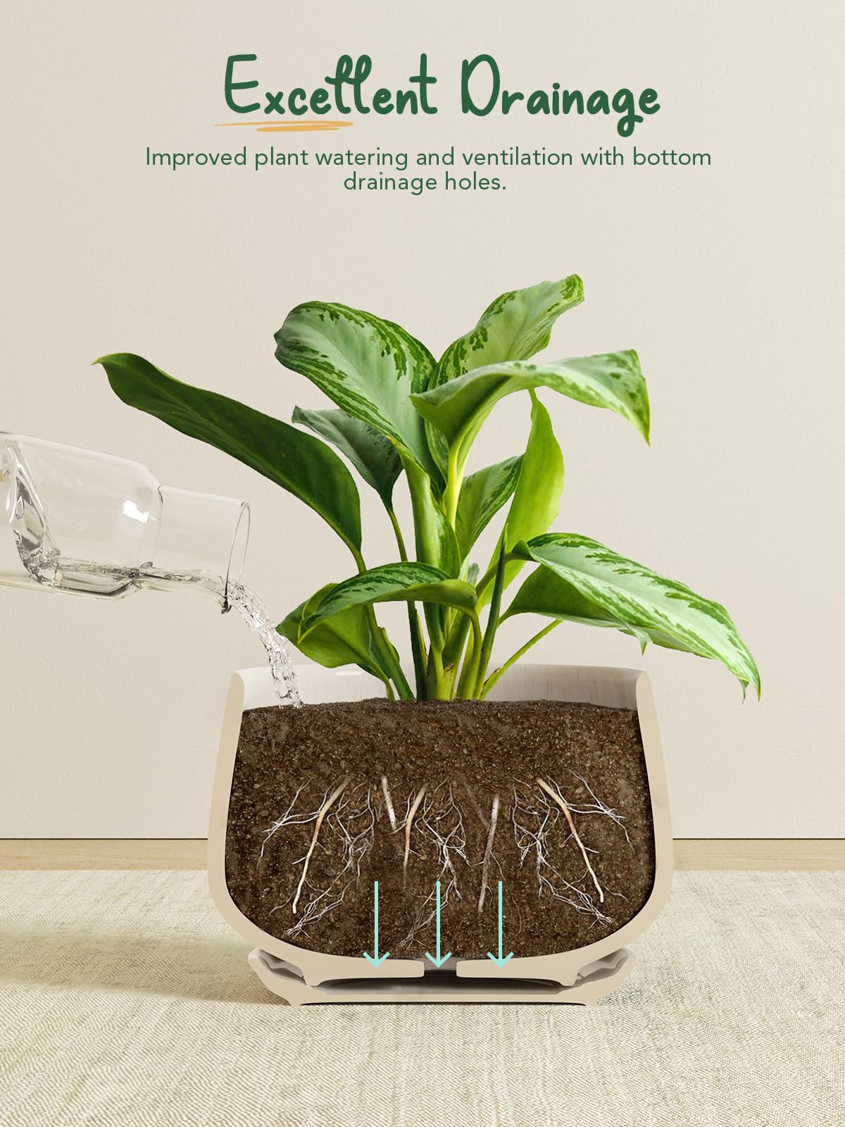 LE TAUCI drainage hole with attached saucer visible, prevents overwatering and protects surfaces
