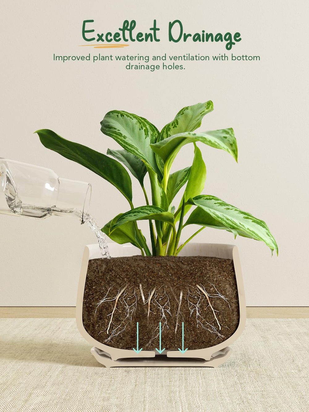 LE TAUCI drainage hole with attached saucer visible, prevents overwatering and protects surfaces