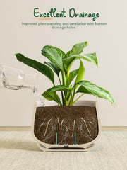 LE TAUCI drainage hole with attached saucer visible, prevents overwatering and protects surfaces