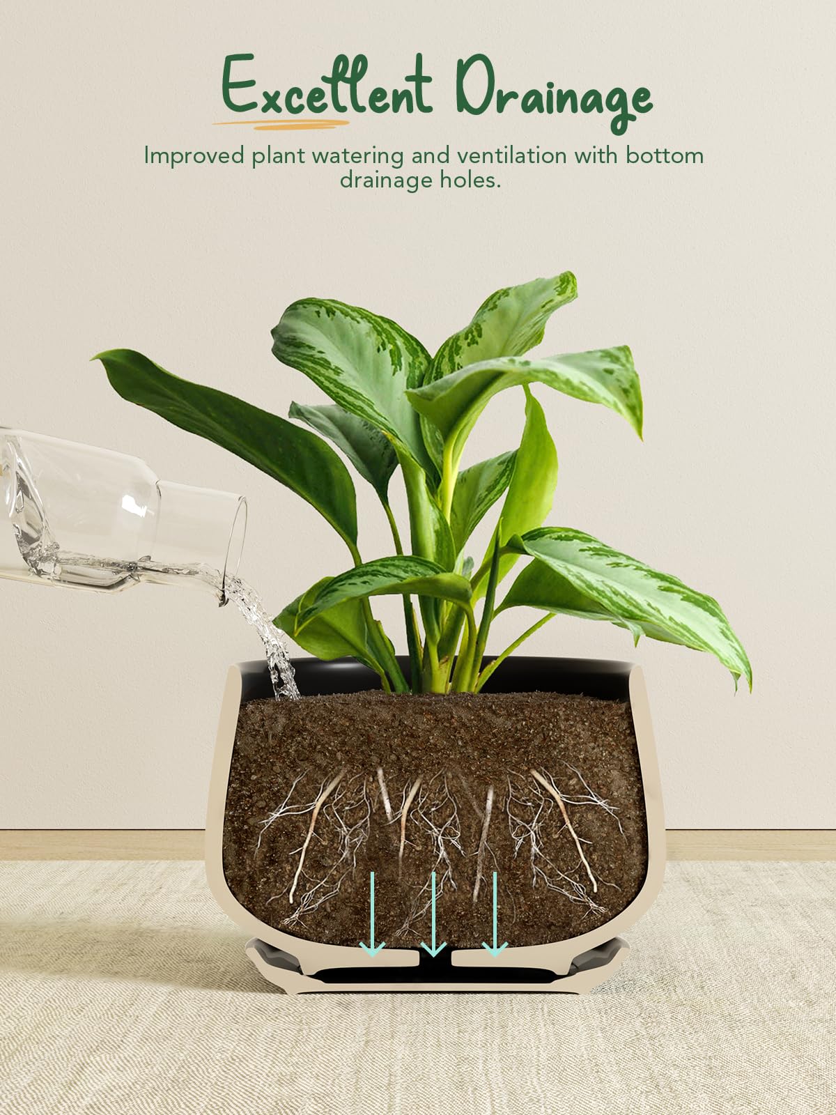 LE TAUCI drainage hole and attached saucer preventing overwatering and protecting surfaces