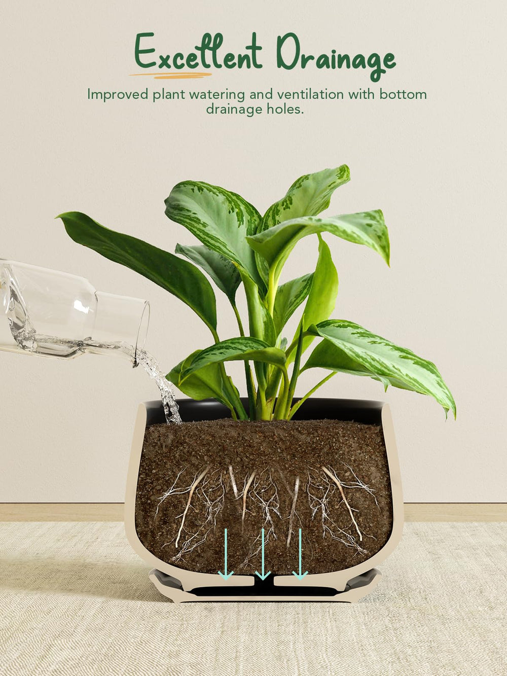 LE TAUCI drainage hole and attached saucer preventing overwatering and protecting surfaces