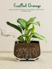 LE TAUCI drainage hole and attached saucer preventing overwatering and protecting surfaces