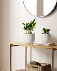 LE TAUCI footed base profile showing elevated design and improved air circulation