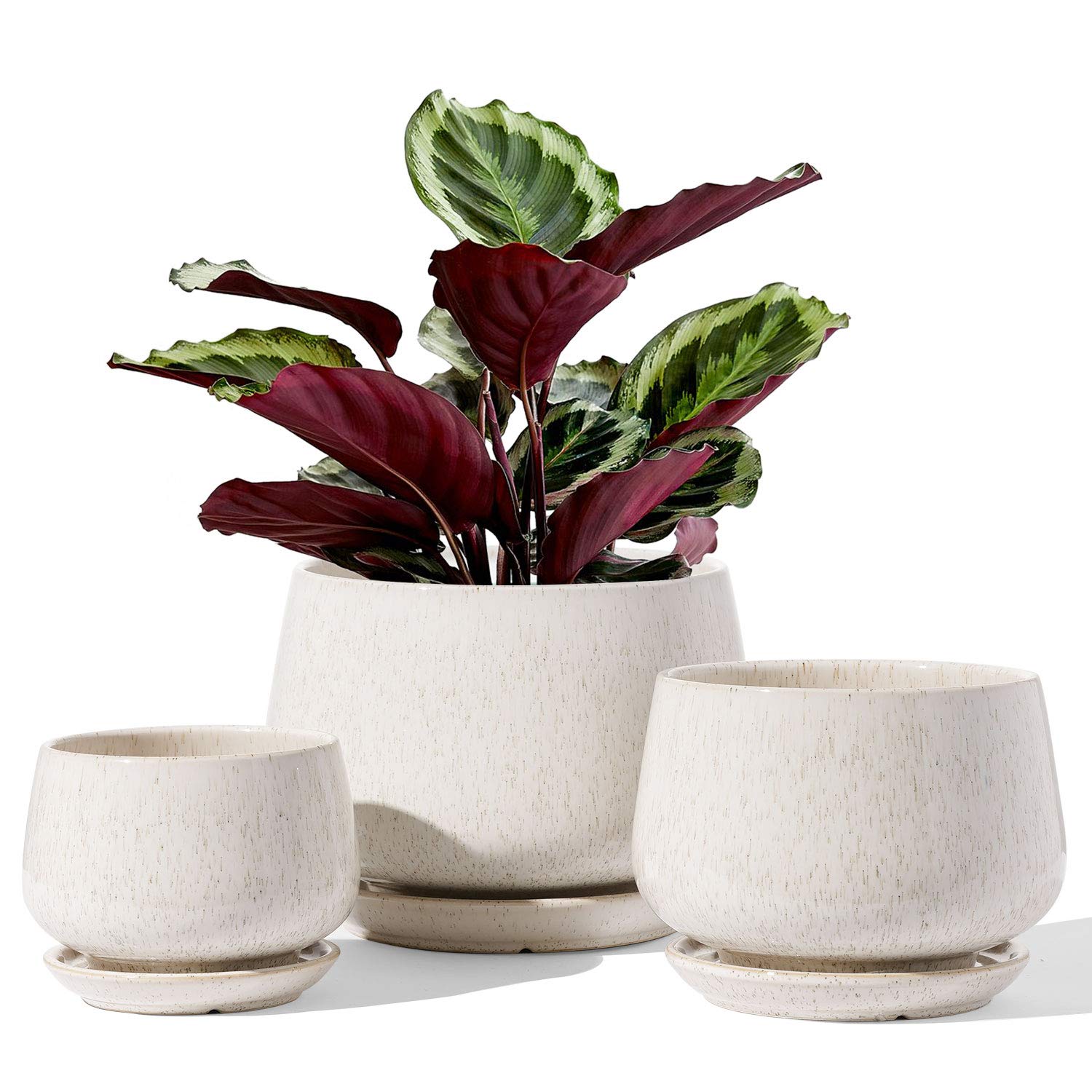 LE TAUCI front view showing reactive glaze beige and modern silhouette, elegant décor benefit