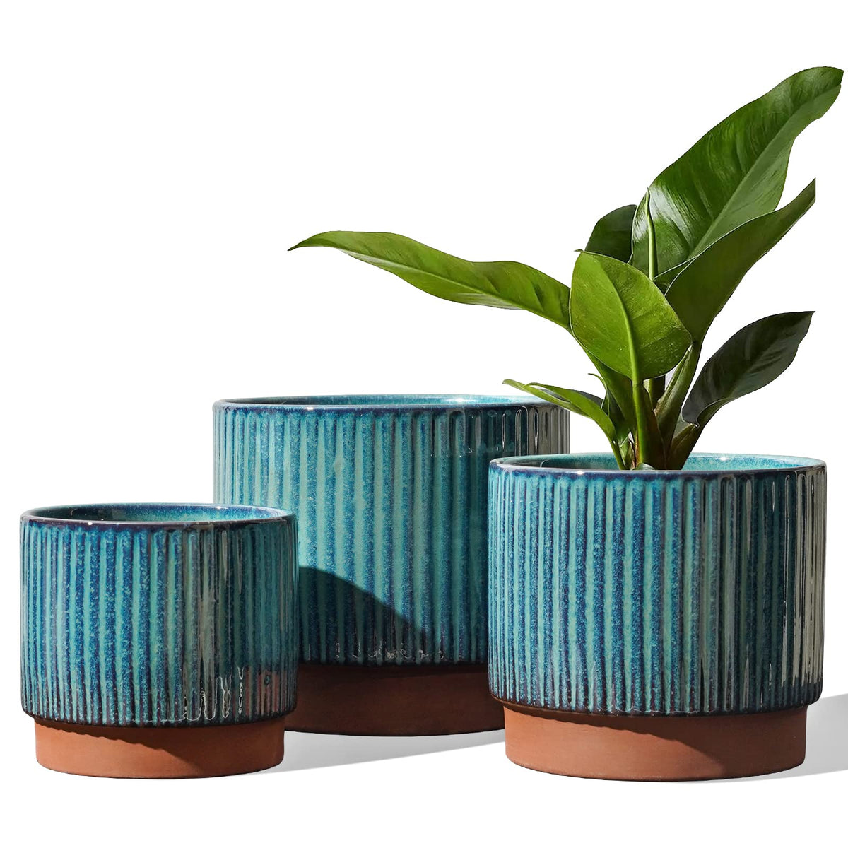 LE TAUCI front view of three striped ceramic pots showing coordinated decor benefit