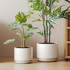 LE TAUCI front packaging showing both white ceramic pots and secure protective box, gift-ready