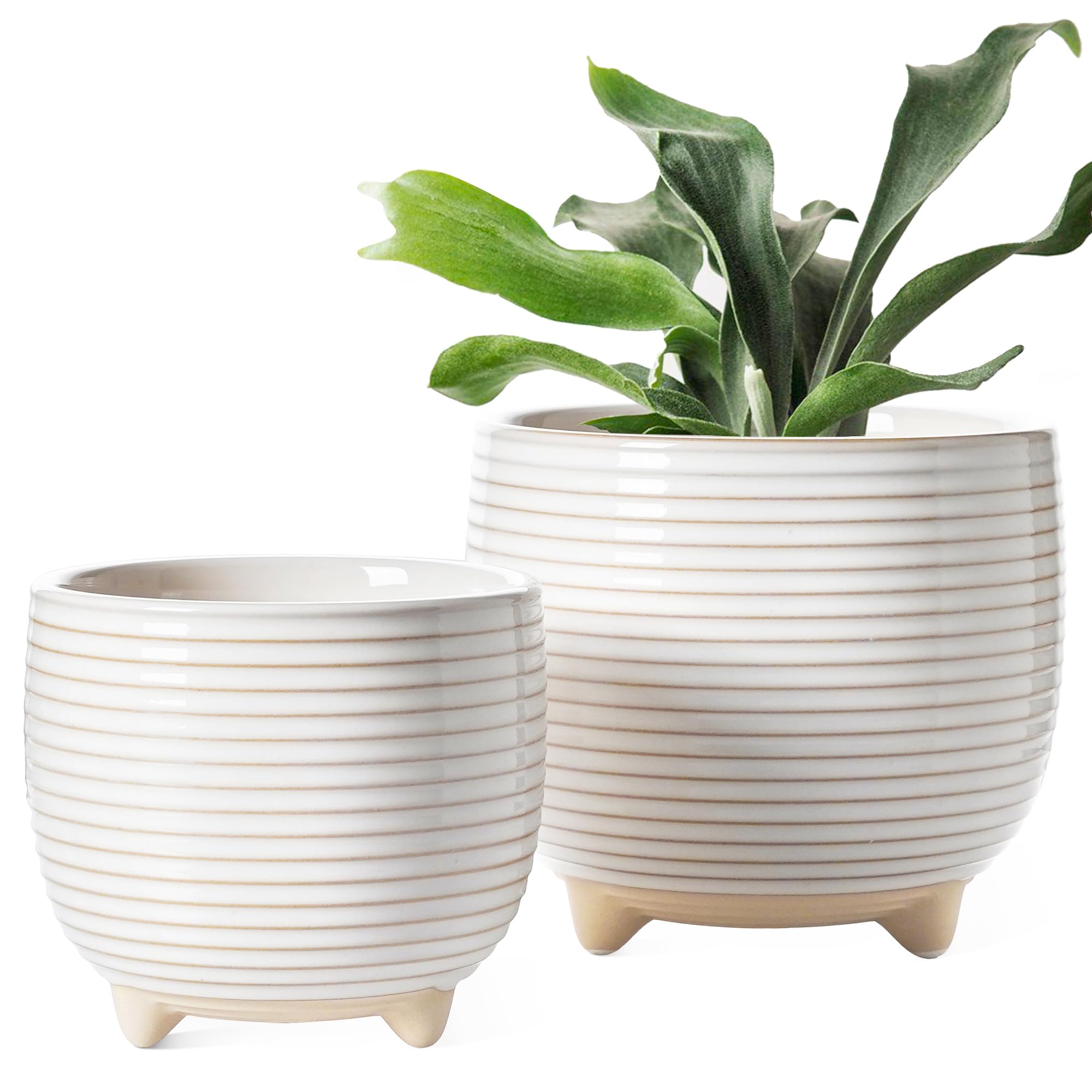 LE TAUCI front view white ceramic pot showcasing clean modern design and versatility