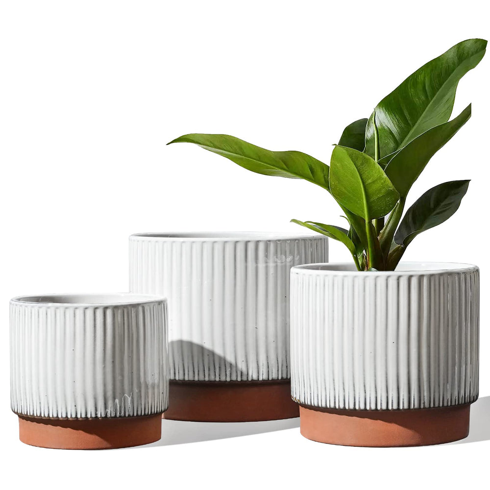 LE TAUCI front view of three white reactive-glaze pots showing clean look and balance