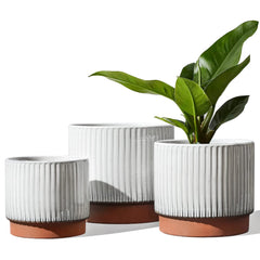 LE TAUCI front view of three white reactive-glaze pots showing clean look and balance