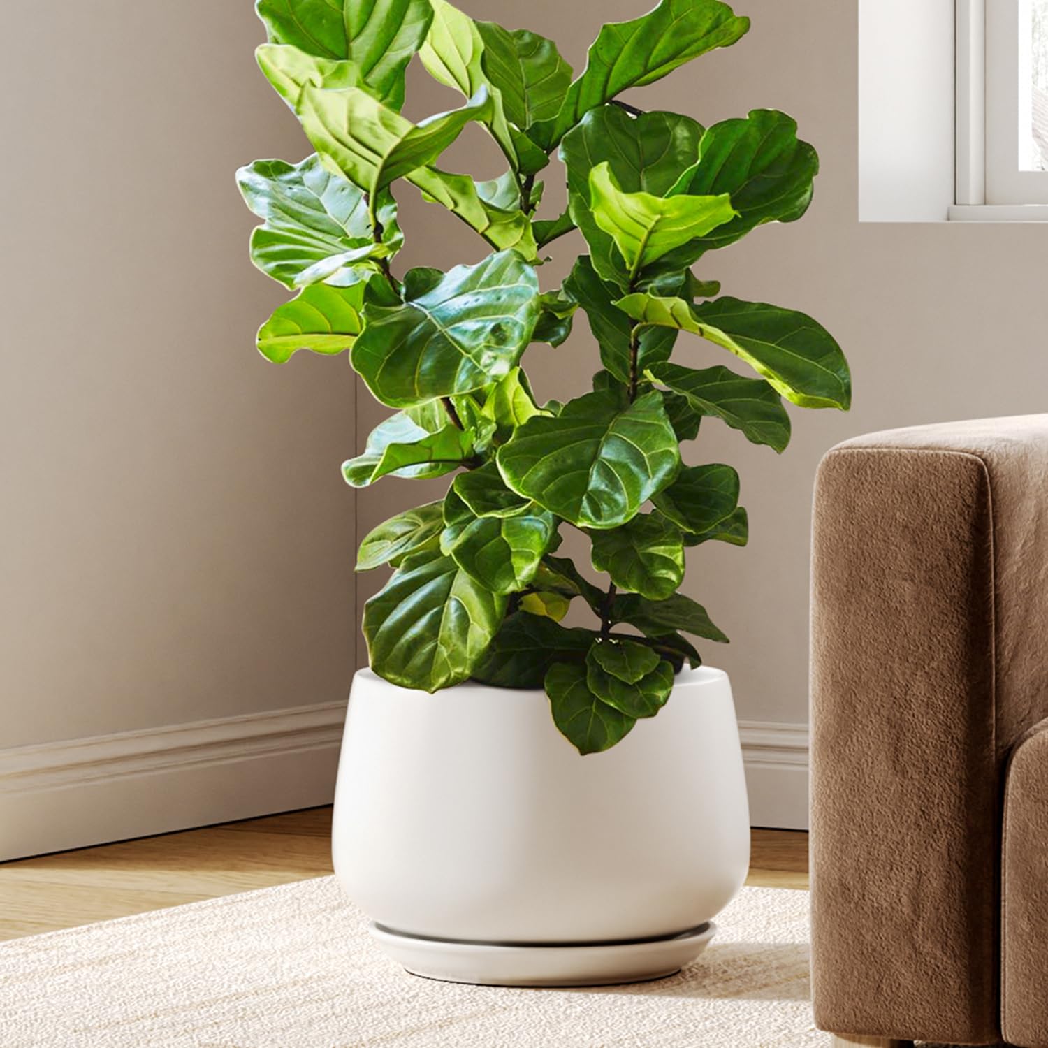 LE TAUCI front view of white ceramic planter showcasing modern silhouette and durable finish