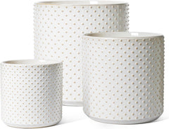 LE TAUCI front view of three glossy arctic-white pots showing style and cohesion