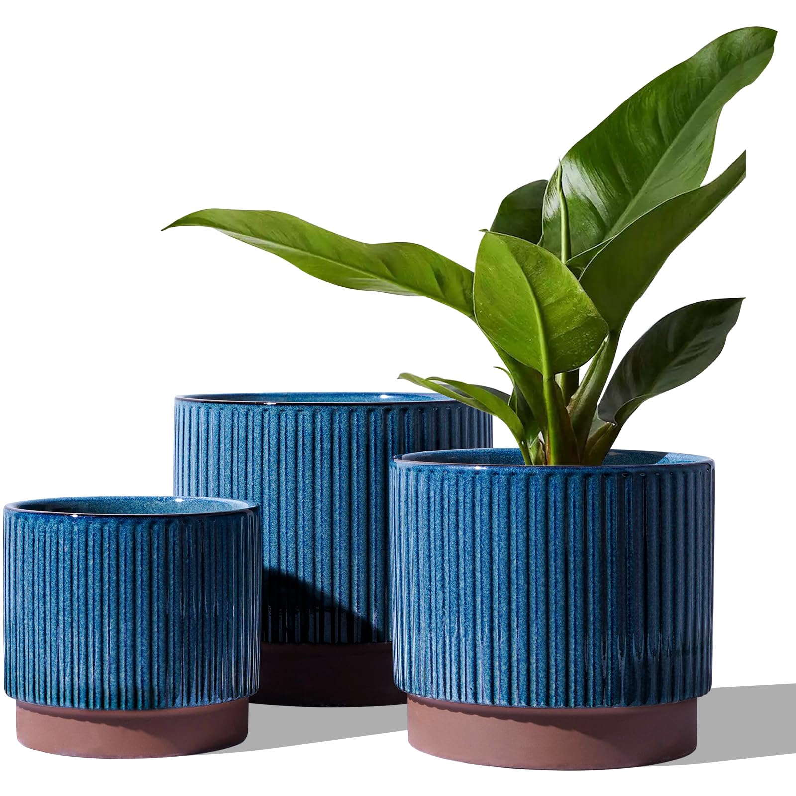 LE TAUCI front view of three blue ceramic planters showcasing cohesive styling