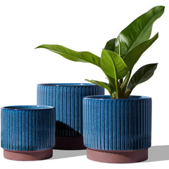 LE TAUCI front view of three blue ceramic planters showcasing cohesive styling
