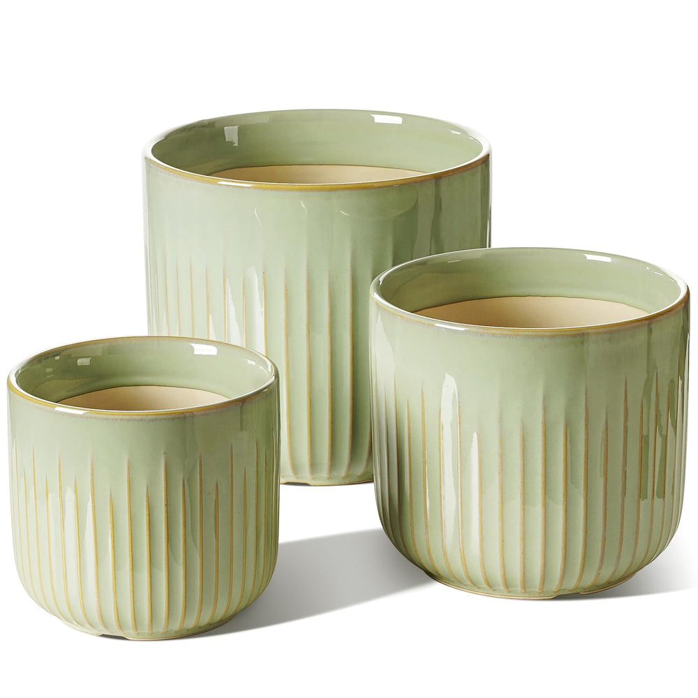 LE TAUCI front view of three sage green pots showing cohesive aesthetic and balance