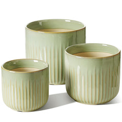 LE TAUCI front view of three sage green pots showing cohesive aesthetic and balance