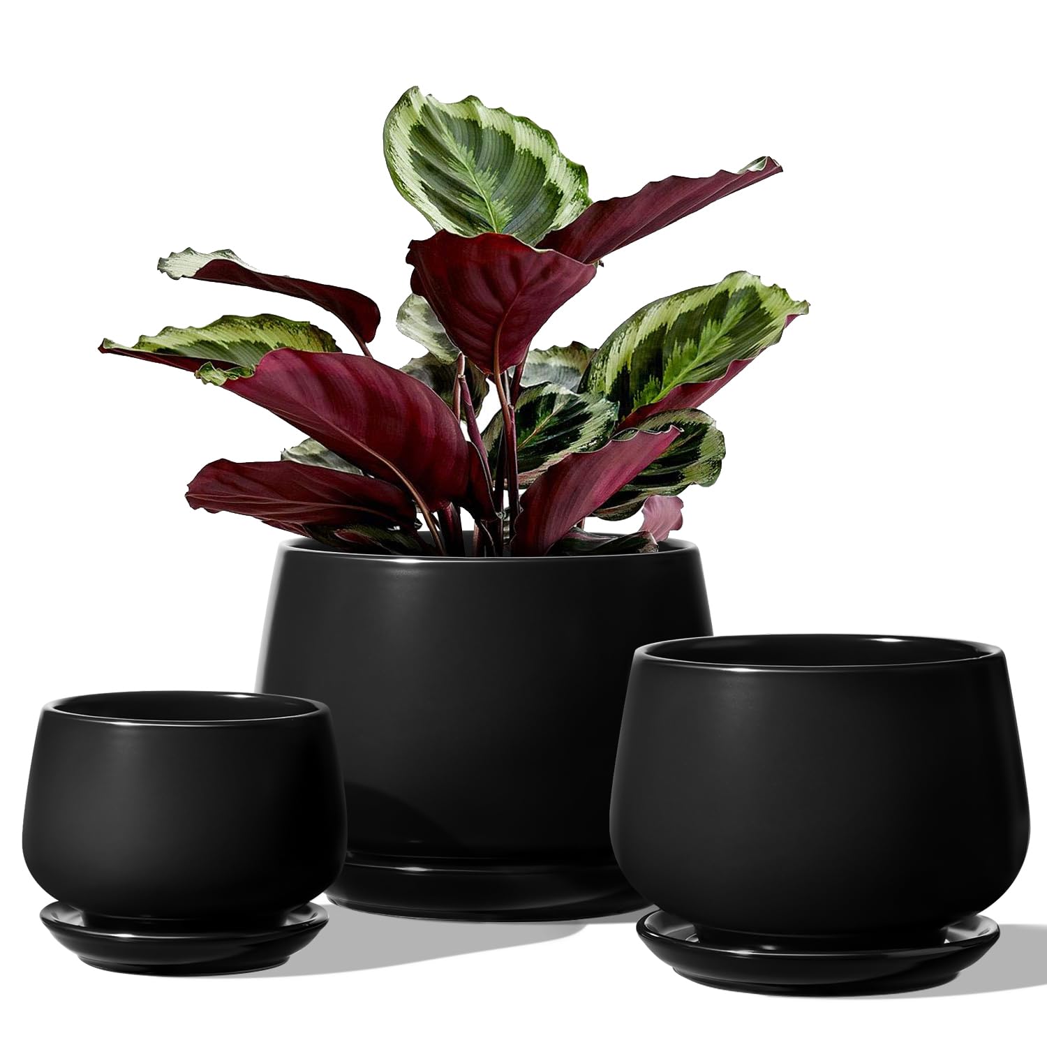 LE TAUCI front view of three black ceramic pots showing modern design and versatility