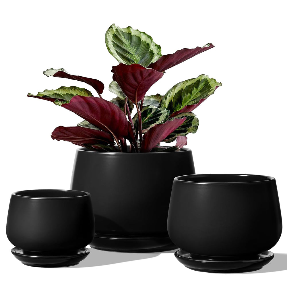 LE TAUCI front view of three black ceramic pots showing modern design and versatility