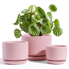 LE TAUCI front view of three pink pots showing modern styling and coordinated sizes