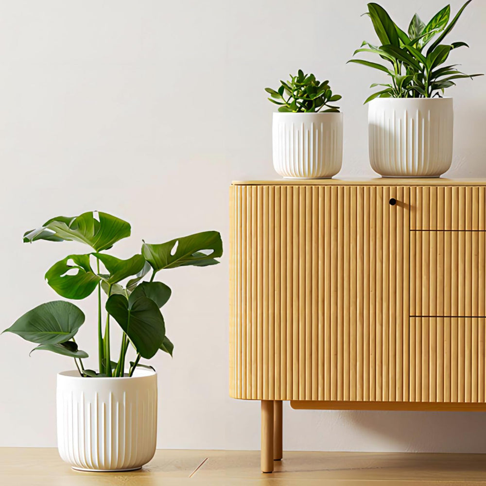LE TAUCI front view of three white planters showing cohesive styling and versatility