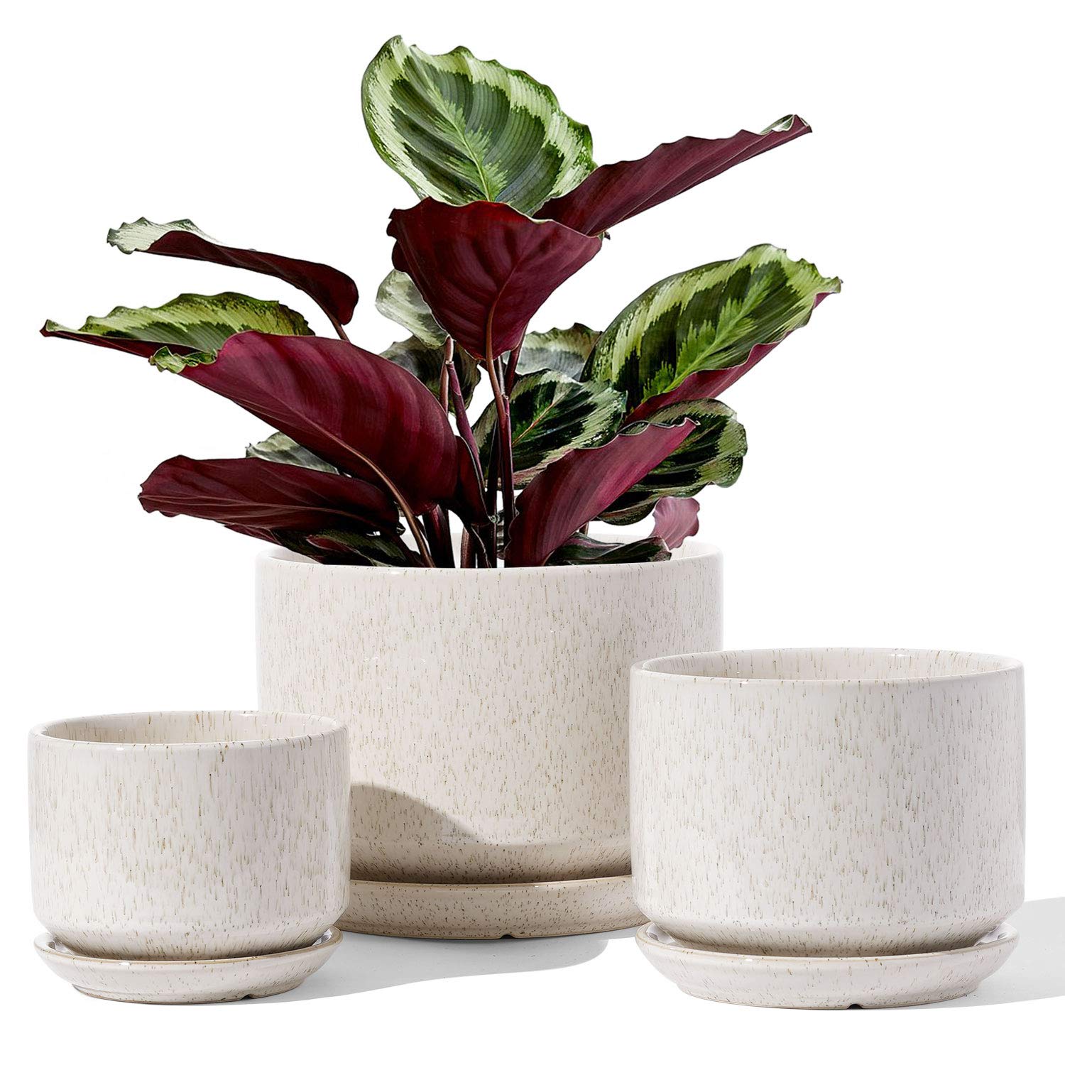 LE TAUCI front view of three pots showing sizes and beige glaze benefits attractive display