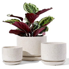 LE TAUCI front view of three pots showing sizes and beige glaze benefits attractive display