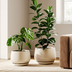 LE TAUCI front view of both beige ceramic planters showcasing elegant shape and balance