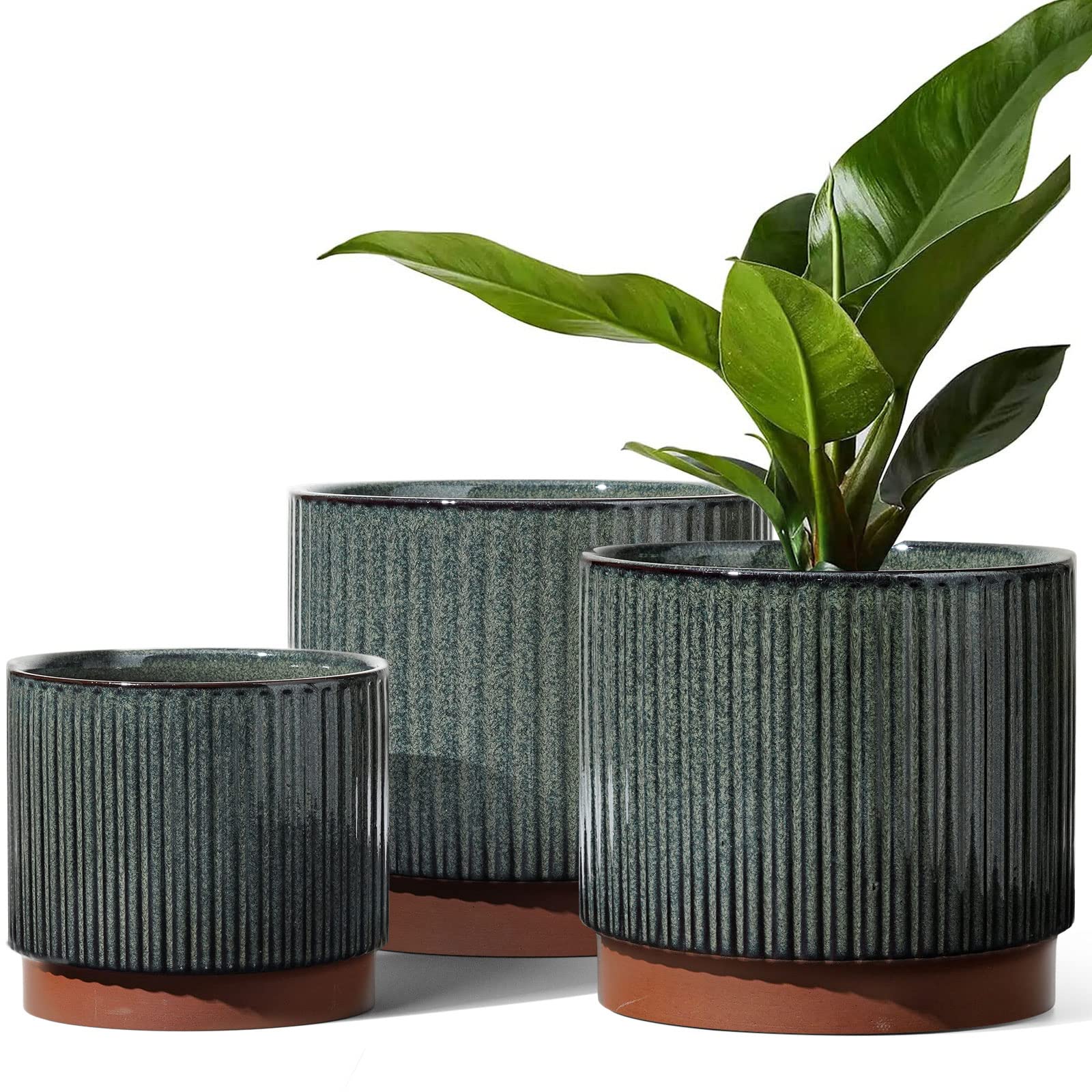 LE TAUCI front view showing striped design and modern decor appeal