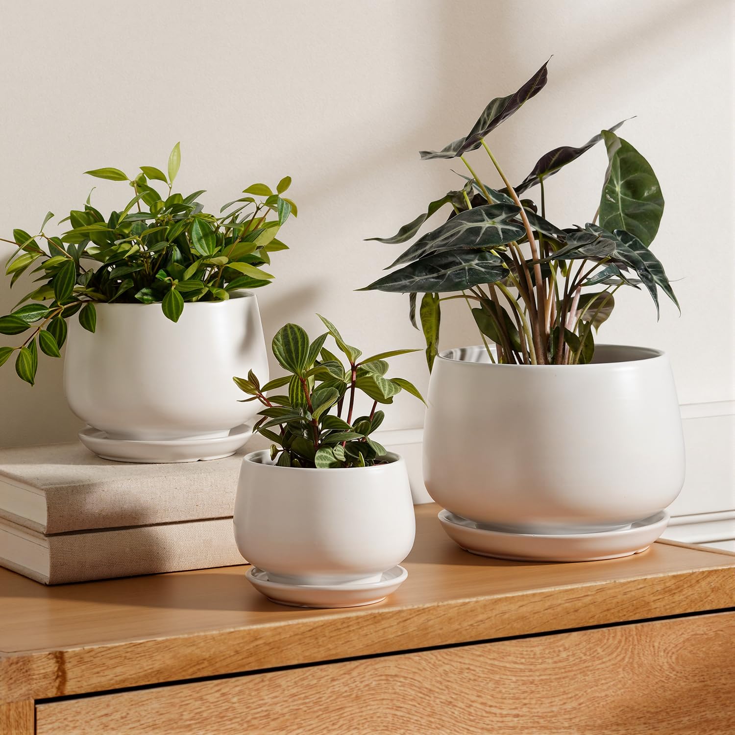 LE TAUCI front view of three white ceramic pots showing clean modern look