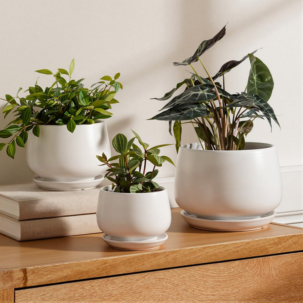 LE TAUCI front view of three white ceramic pots showing clean modern look