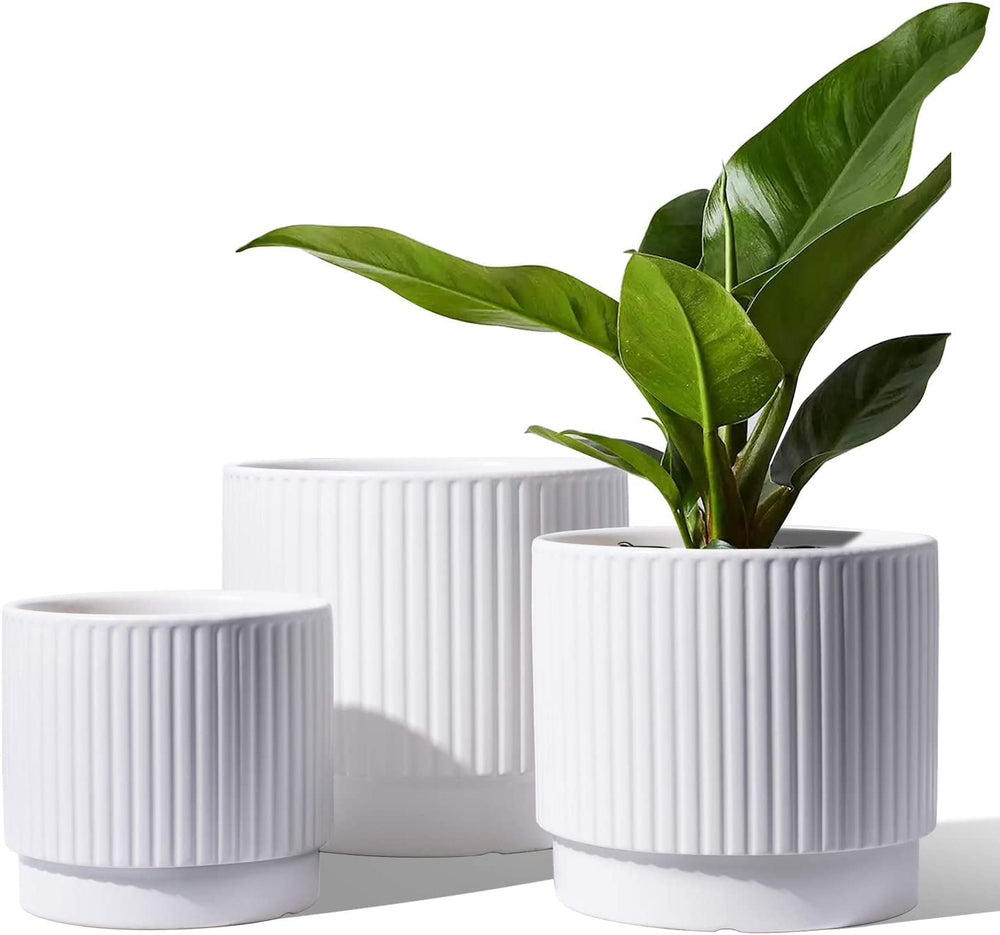 LE TAUCI front view of three white ceramic planters showing elegant styling and cohesion