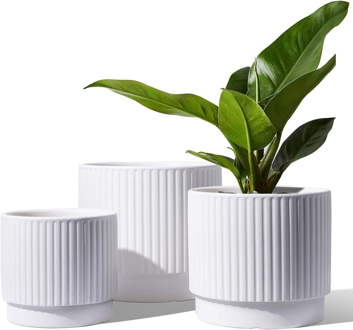 LE TAUCI front view of three white ceramic planters showing elegant styling and cohesion
