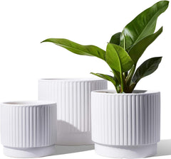 LE TAUCI front view of three white ceramic planters showing elegant styling and cohesion