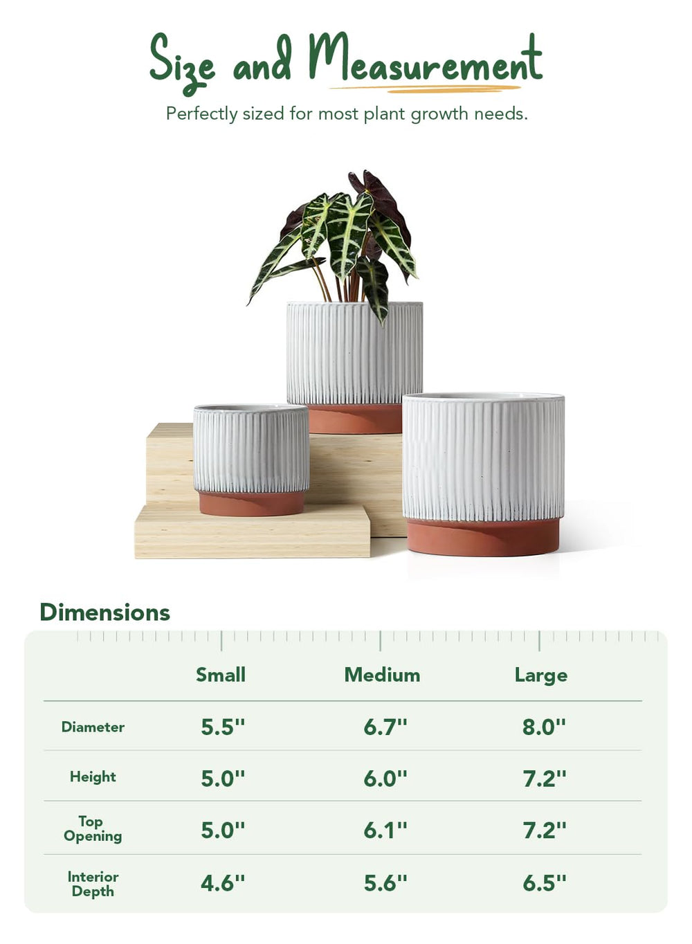 LE TAUCI living room styling with pots showing decor impact and plant display