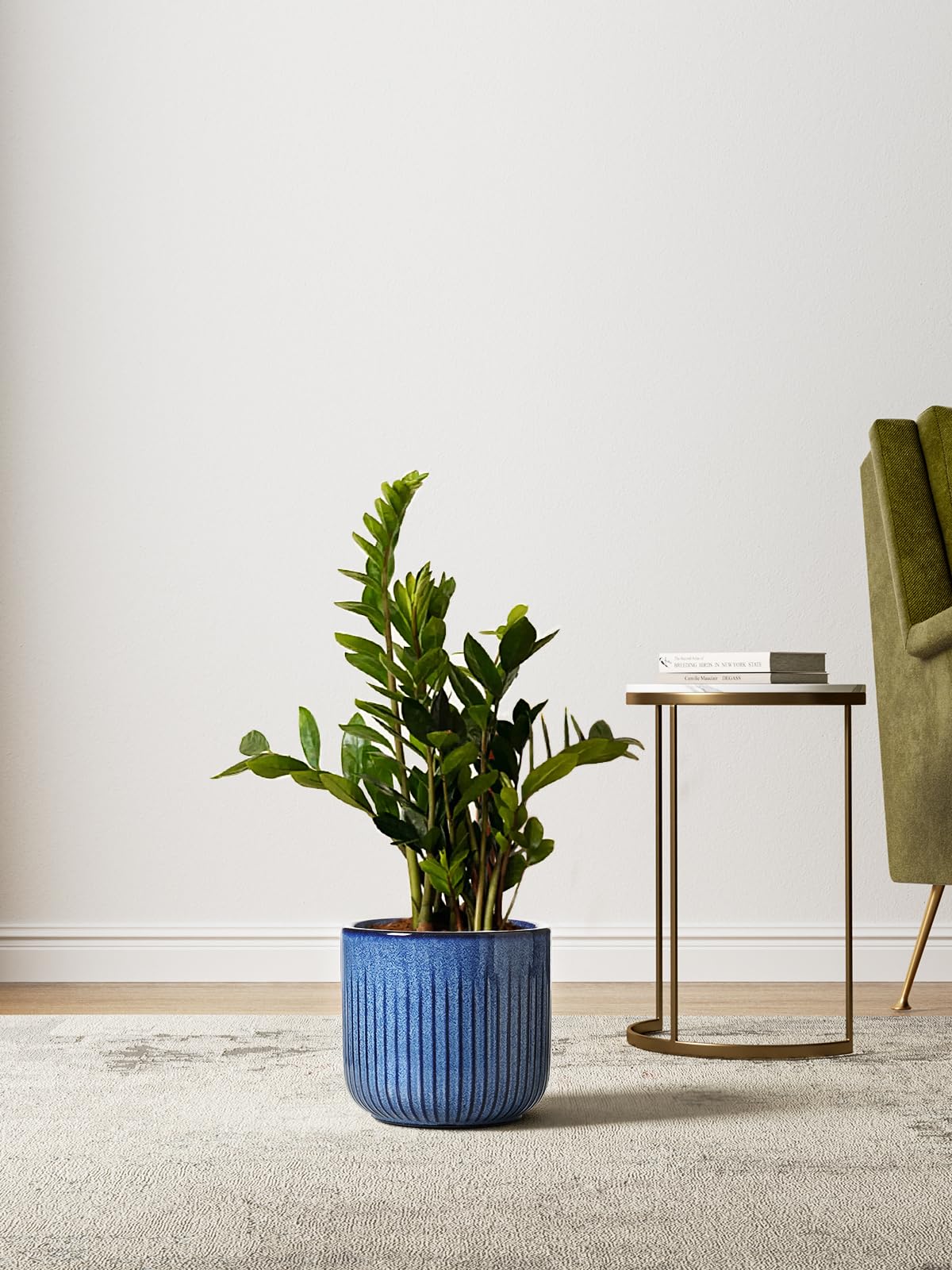 LE TAUCI in-use shot of snake plant in 8.3-inch pot providing stable support