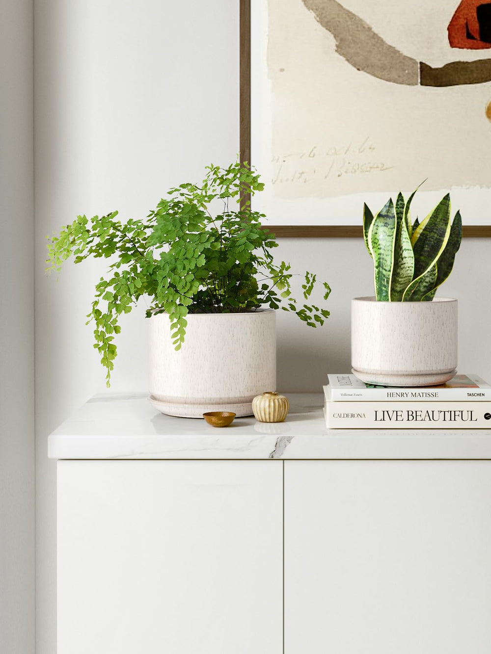 LE TAUCI large pot with spider plant on shelf showing trailing growth support benefit