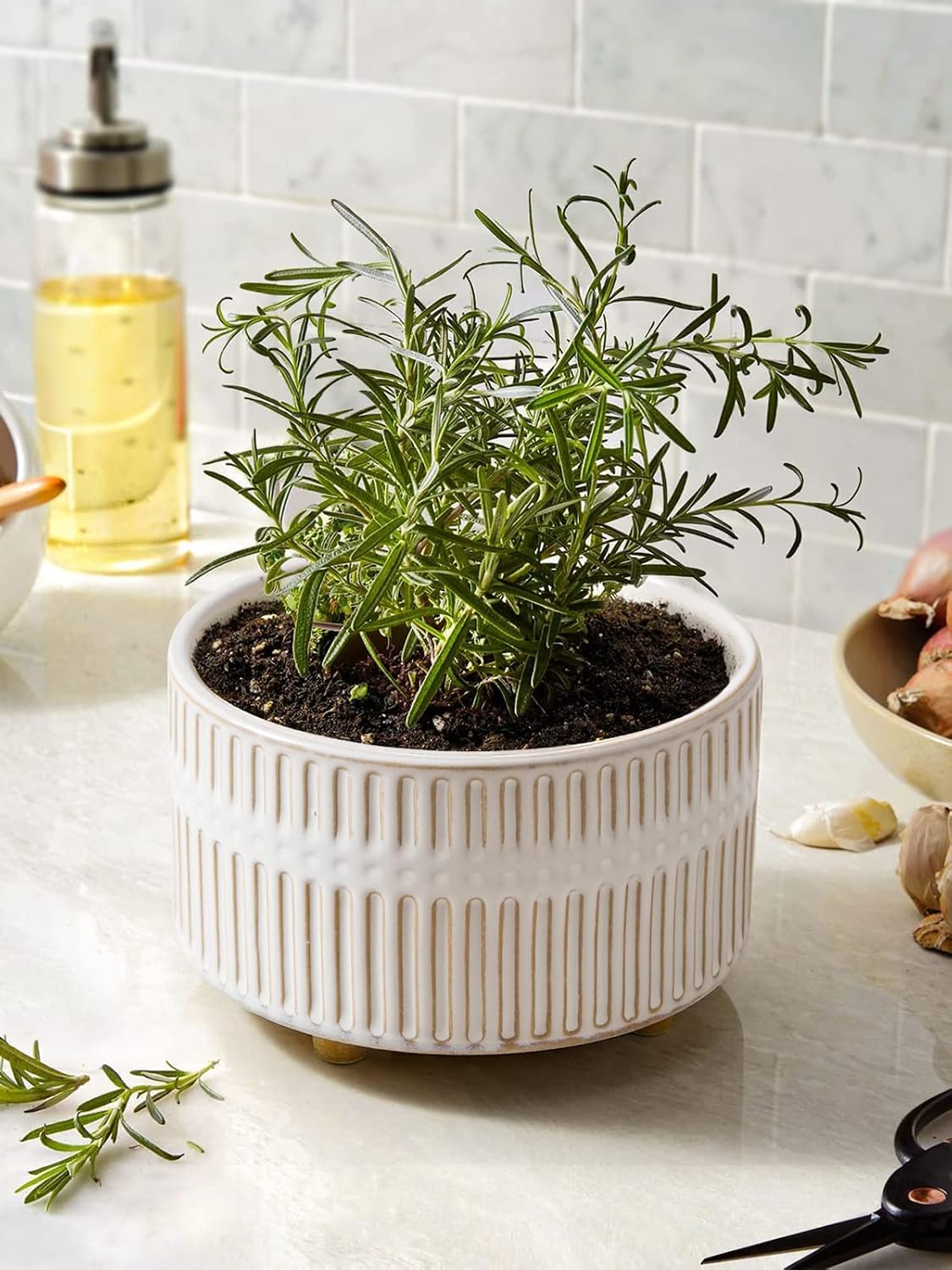 LE TAUCI planters on a windowsill showing decorative fit and brightening effect