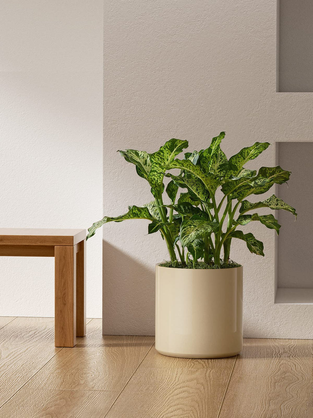 LE TAUCI matte glaze surface detail showing durable finish and scuff resistance benefit