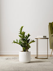 LE TAUCI medium planter with herbs on a windowsill providing easy access and charm