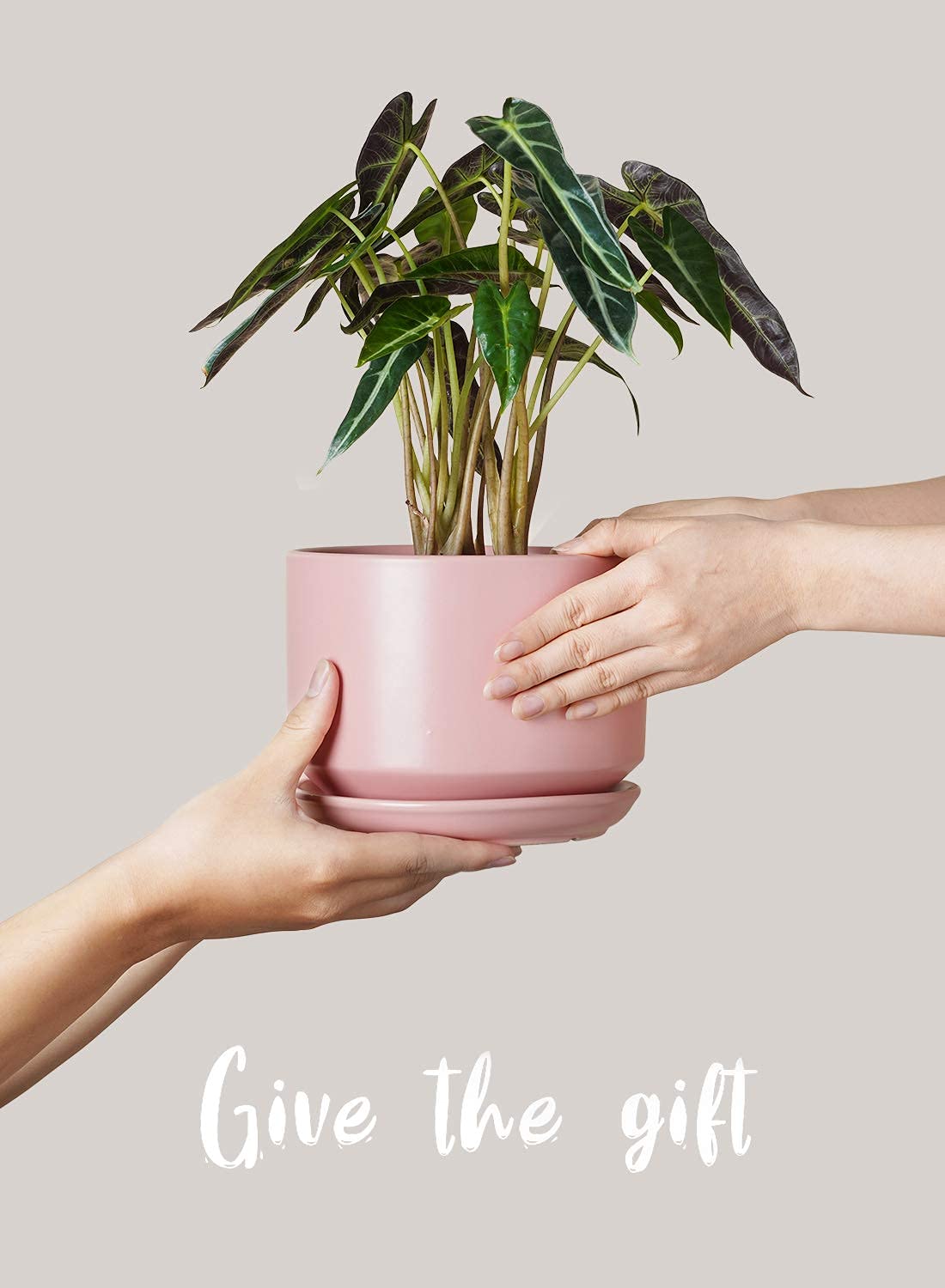 LE TAUCI medium pot with trailing plant demonstrating decorative use and stability