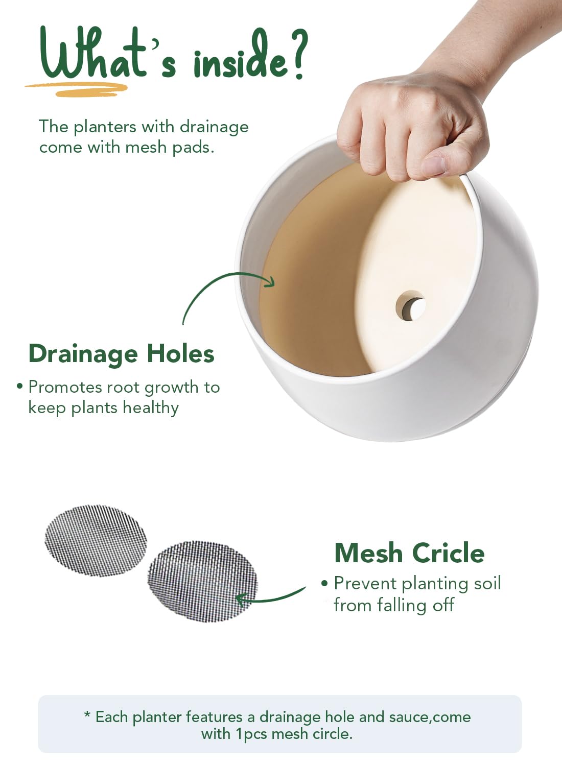 LE TAUCI mesh pad and drain hole visible to control excess water