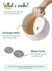 LE TAUCI mesh pad and drain hole visible to control excess water