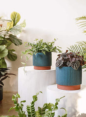 LE TAUCI middle and small pots arranged on shelf demonstrating layered display