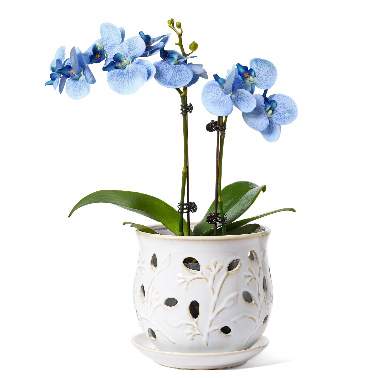 LE TAUCI front view of arctic white orchid pot showing elegant shape and benefit of stylish display